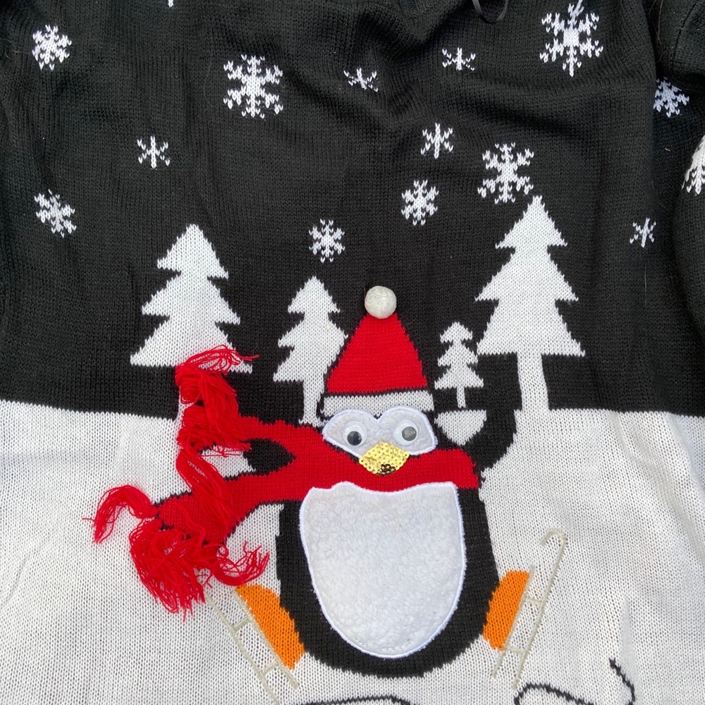 Winter Sweater - Picture 2 of 4
